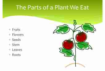 As well as what plants eat